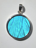 Shimmerwing Pendants Blue Morpho Butterfly Medium